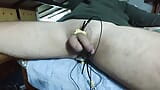 Nov 2024_estim elektronensessie snapshot 1