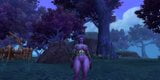 night elf slut fucks horses snapshot 5