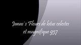 Fleurs de lotus celestes et magnifique 937 snapshot 1