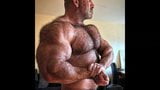 SLIDESHOW OF MUSCLEMEN snapshot 3