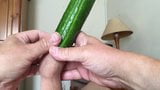 Foreskin cucumber Sunday - 2 of 9 snapshot 8