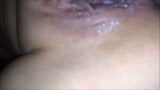 Creampie Collection snapshot 6