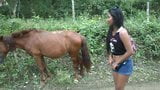 Thaise tiener Peru tot Ecuador paarden tot creampies snapshot 22