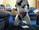 rubber cow milking snapshot 2