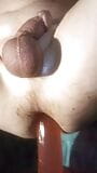 Dildo che va in nobili snapshot 2