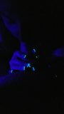 Glow in the dark pompino snapshot 3