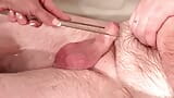 Penghinaan zakar kecil. Handjob dengan tweezers snapshot 12