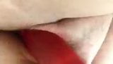 Laura metiendo un gran consolador rojo en su coño mojado snapshot 2