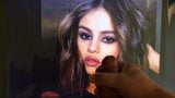 Selena Gomez tribute snapshot 4