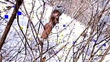 4K- Nina Rivera suka menghisap batang dalam salji snapshot 3