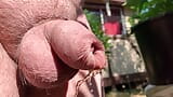 Uncut cock pissing through wet foreskin in the garden snapshot 9