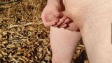 Masturbating Outdoors On A Sunny Winters Day snapshot 1