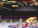 Zangief vs touhou snapshot 17