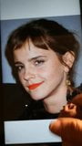 Omaggio ad Emma Watson snapshot 1