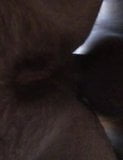 Lil Big Hairy Tight Pussey snapshot 8