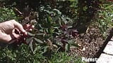 Nena caliente Tory Lane chupa una polla enorme al aire libre snapshot 1