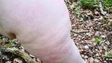 Whipping in the woods snapshot 5