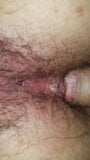 Peluda gordinha anal snapshot 2