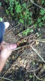 Masturbation in the woods and huge ejaculation snapshot 6