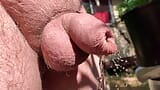 Uncut cock pissing through wet foreskin in the garden snapshot 6