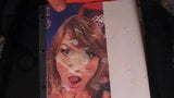 Taylor Swift tribute snapshot 4