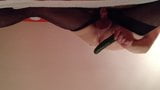 Cucumber snapshot 5