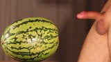 water melon cum - fucking a melon and cumming snapshot 1