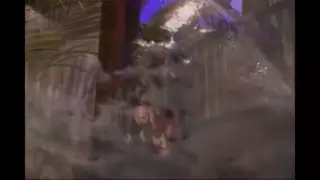 Katta ayollar va semiz eshaklar bilan