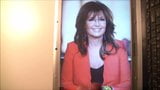 Sarah Palin Cum Tribute 2 snapshot 2