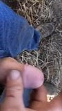 planiting time on the farm what hubby does best snapshot 3