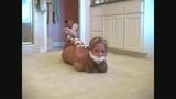 Hogtied & Gagged Busty Blonde Tries to Escape snapshot 1