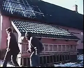 Swedish Classic