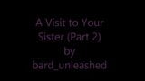 Une visite aux sœurs, partie 2 pour les tapettes snapshot 1