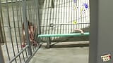 Βυζαρούδες μελαχρινές σε κλουβιά απελευθερώνονται μόνο και μόνο για να έχουν μια παρτούζα γεμάτη DP και πρωκτικό snapshot 6