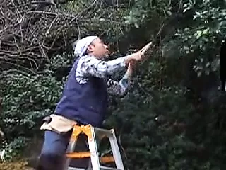 Japonesa madura