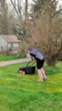 the lawnmower snapshot 3