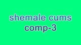 shemale cums-comp-3 snapshot 1