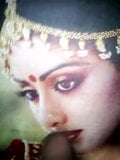 Sridevi gozando snapshot 1