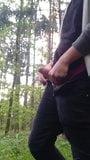 Cum in forest snapshot 10