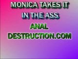 Anal Destruction. Monica takes it in the ass. snapshot 1