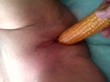 uni corn snapshot 5