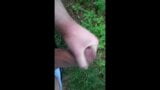 Jerking my uncut cock in public snapshot 3