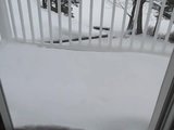 Quick dive in snow snapshot 1