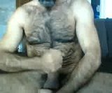 Papi peludo caliente se masturba snapshot 4