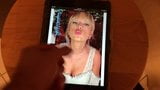 Taylor Swift Tribute 30 snapshot 2