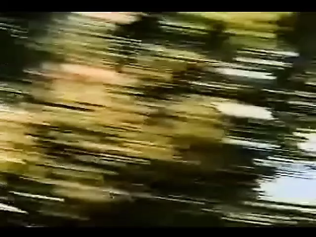 Vintage shemale movie | xHamster
