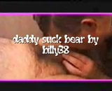 daddy suck bear snapshot 1