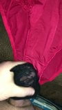 Wanking and cumming over wifes friends panties snapshot 1
