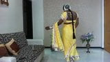 indian saree snapshot 2