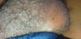 I doubt you can guess what this is, I'll give you a hint and it's big and hairy snapshot 3